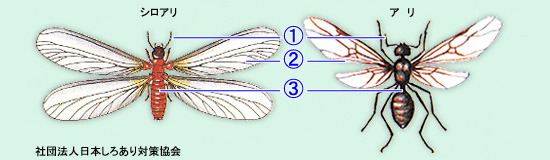 img_faq_05