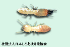 img_faq_06
