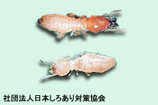 img_faq_07