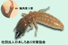 img_faq_08