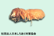 img_faq_09