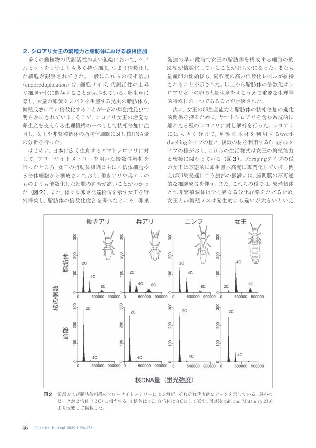 しろありNo.173