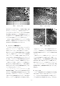 しろありNo.151