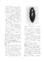 しろありNo.152