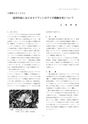しろありNo.152
