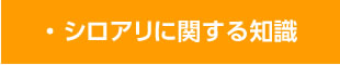 シロアリに関する知識